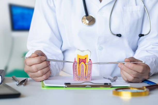 Best Root Canal Emergency Dentist  in Wolfe City, TX
